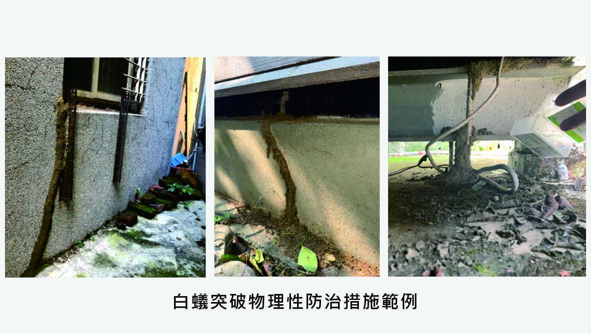 白蟻突破物理性防治措施範例.jpg